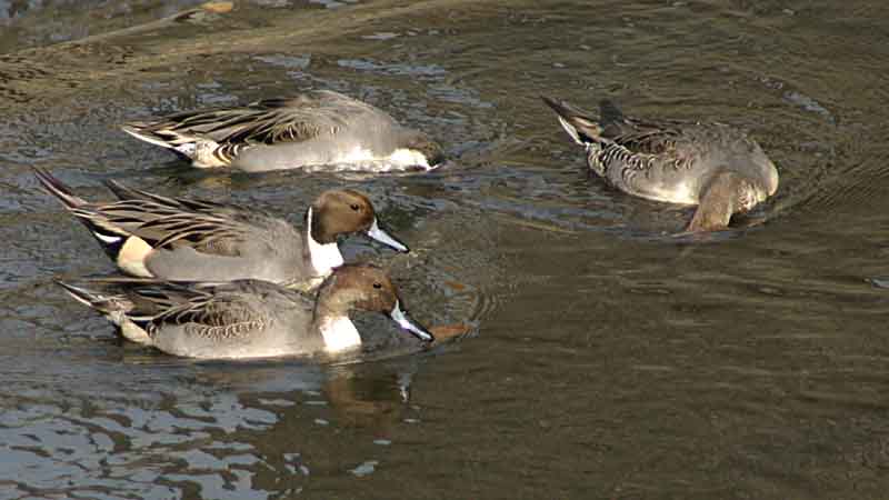 �I�i�K�K��