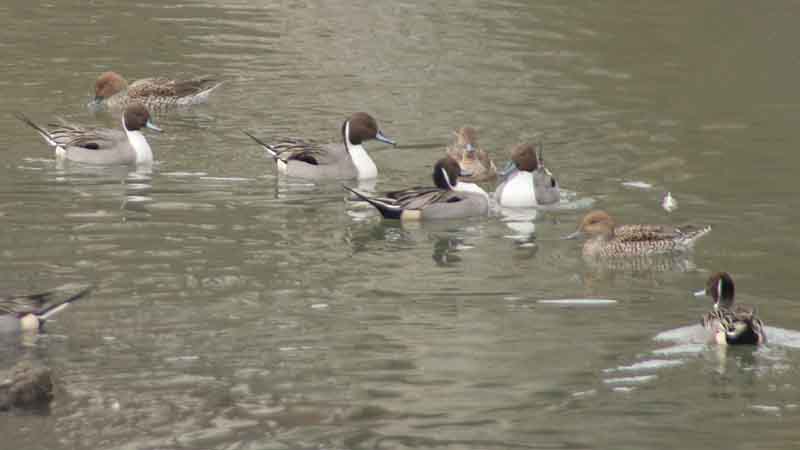 �I�i�K�K��