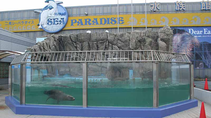 二見シーパラダイスのトド水槽